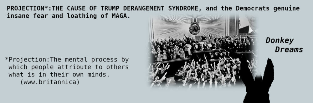 Democrat's "Our Democracy" is not Our Constitutional Republic.